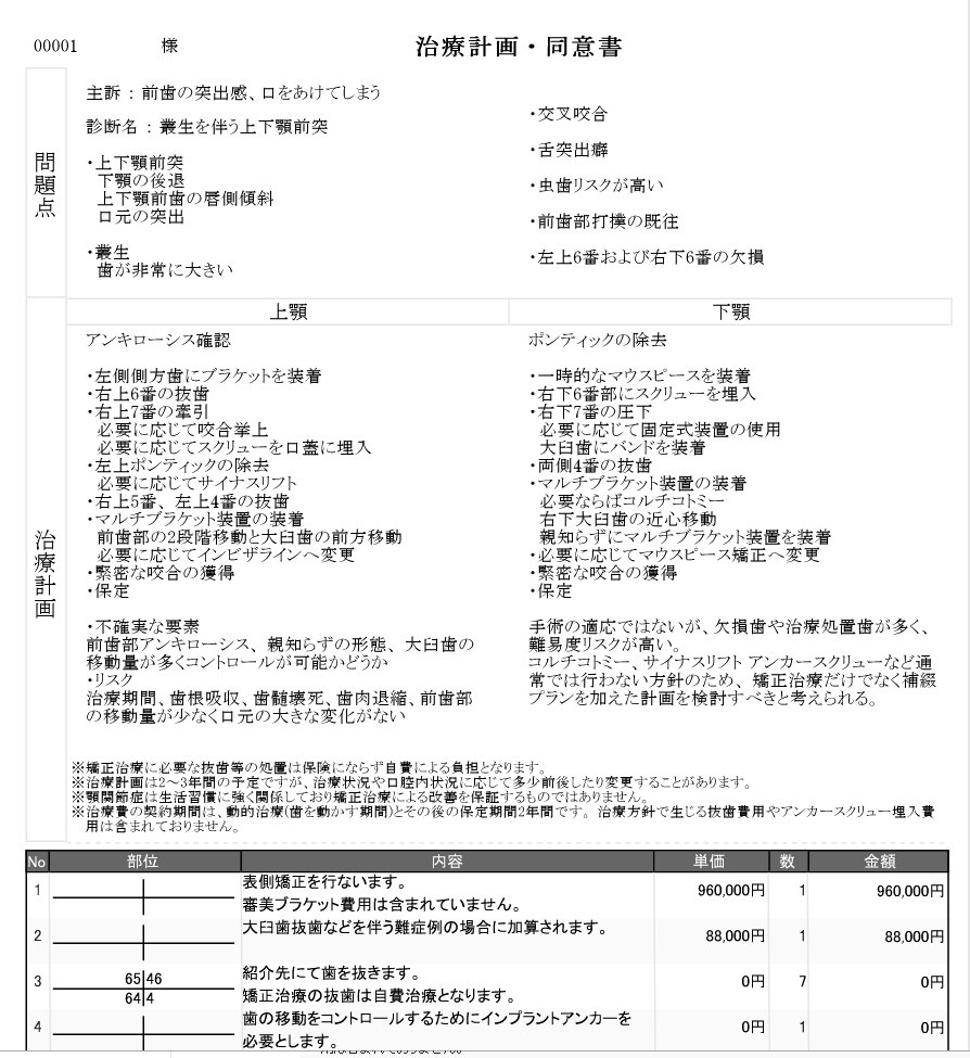 治療計画・同意書 印刷イメージ